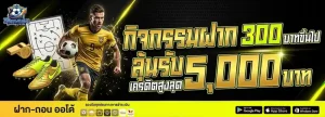 วิธีแทงบอล ทางเข้า